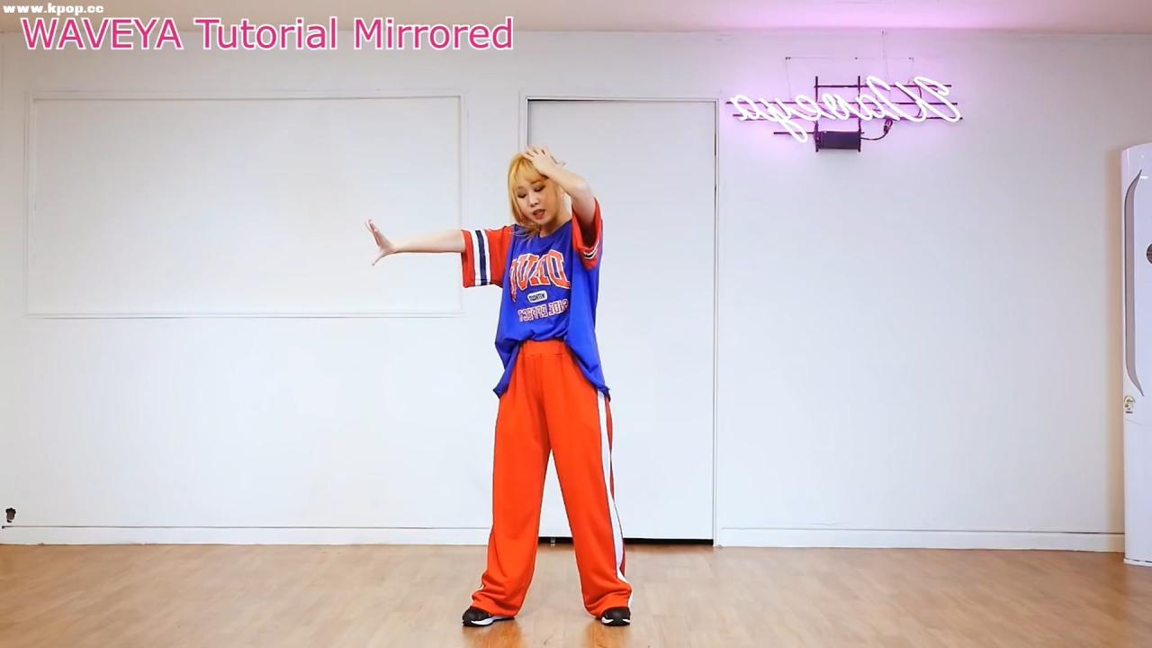 Tutorial Mirrored 블락비 Block B – Shall We Dance 거울모드 설명강좌 WAVEYA – #0386插图