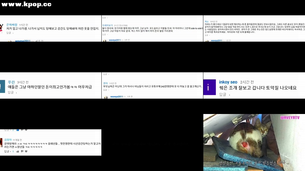 웨이브야 악플읽기 Mean comments in Korean – Waveya – #0395插图1