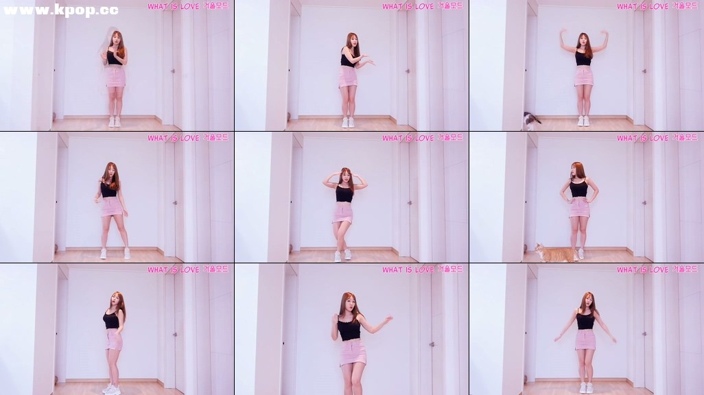 트와이스 TWICE what is love 거울모드 설명강좌 Tutorial Mirrored WAVEYA – #0428插图1