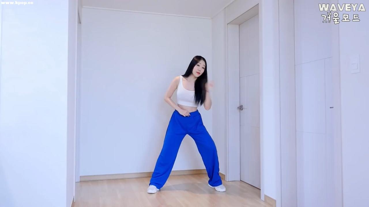 BTS 아이돌 안무 거울모드 설명강좌  IDOL Tutorial Mirrrored WAVEYA – #0481插图