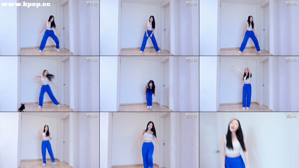 BTS 아이돌 안무 거울모드 설명강좌  IDOL Tutorial Mirrrored WAVEYA – #0481插图1