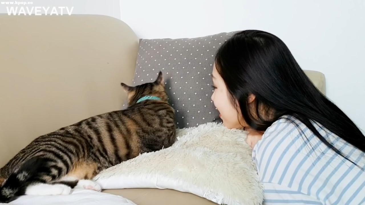 Waveya vlog – 귀염뽀작 애교 대방출 ! 다 보면 외로워지는 영상 – #0483插图