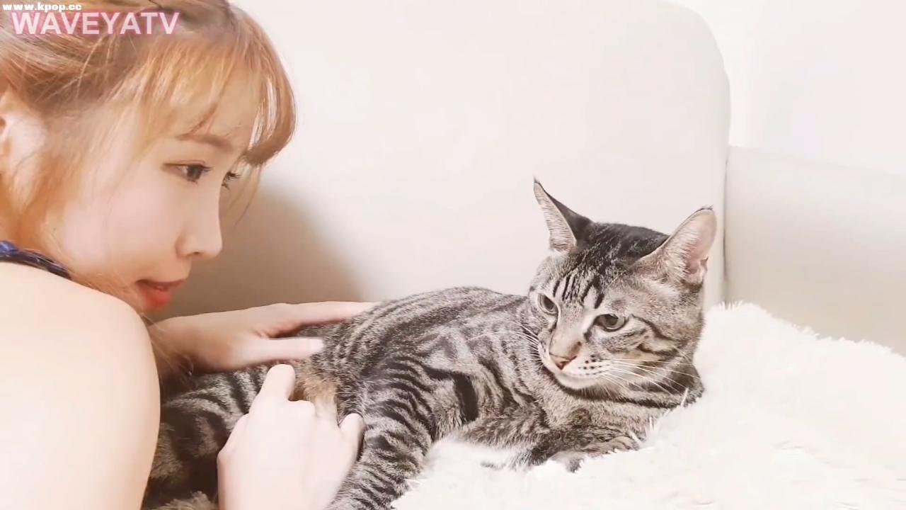 Waveya 웨이브야 미유의 모닝뽀뽀 고양이 반응은 – #0492插图