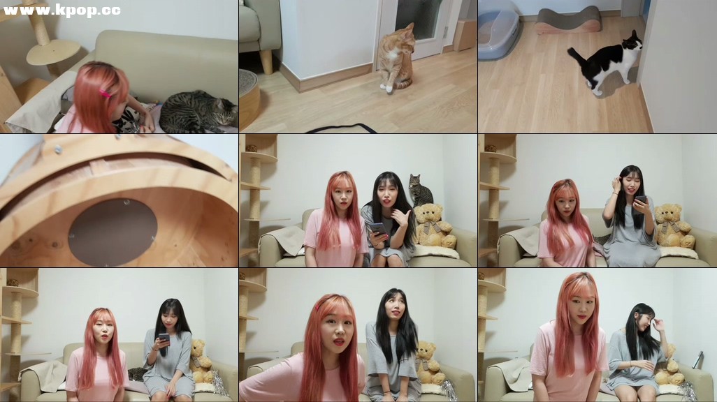 CheeseDay 치즈생일이에요 (축하해주신 분들 모두 감사해요!) – #0578插图1