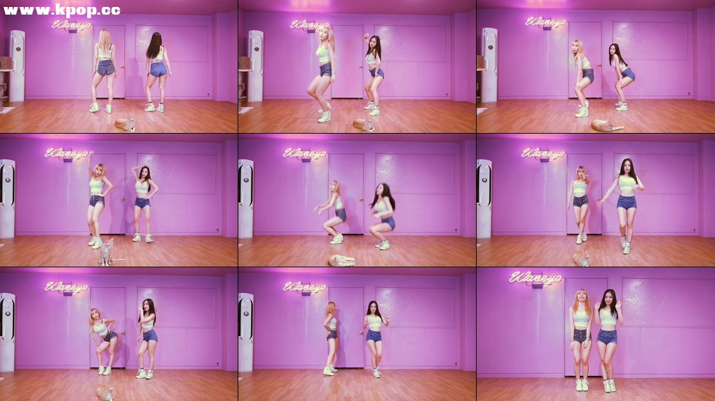 Dance Tutorial- BLACKPINK 휘파람(WHISTLE) WAVEYA – #0258插图1