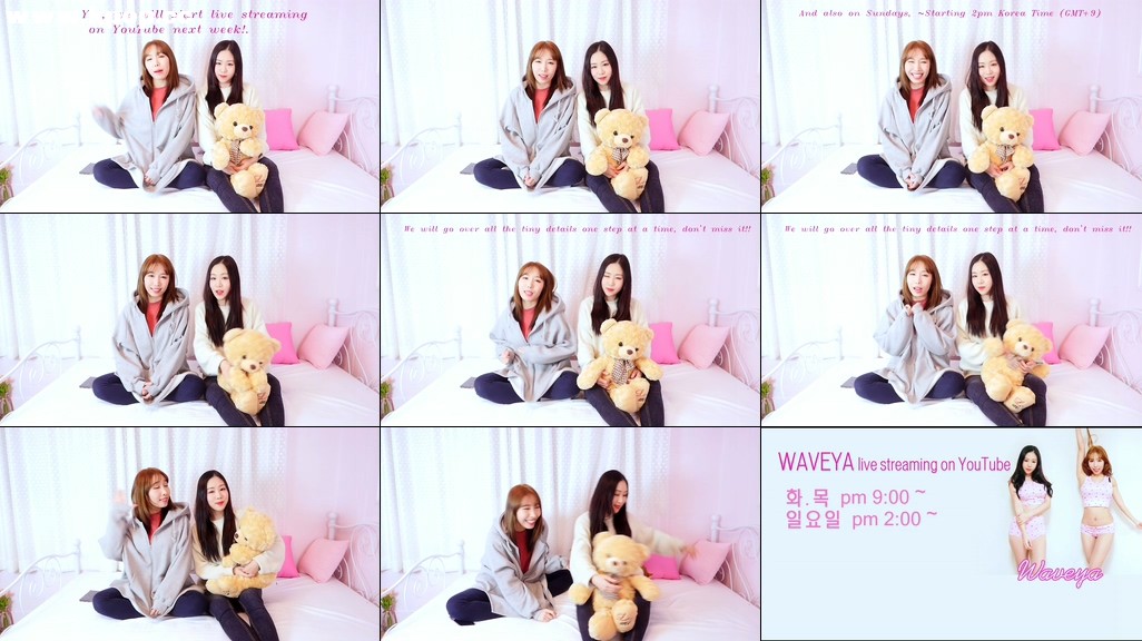 라이브 방송공지 Waveya Live Streaming Starts March 7 – #0299插图1