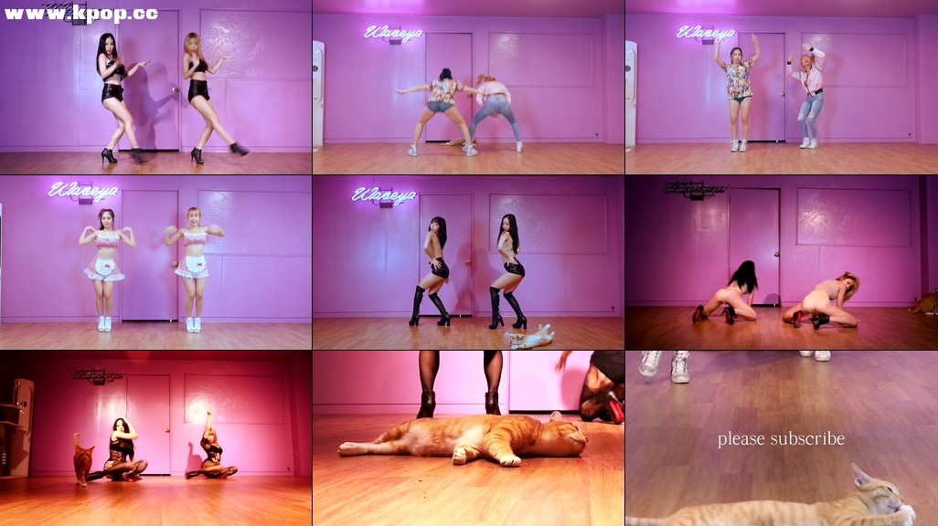 춤추는 고양이 치즈 CHEESE BEST OF BEST DANCE WAVEYA – #0320插图1