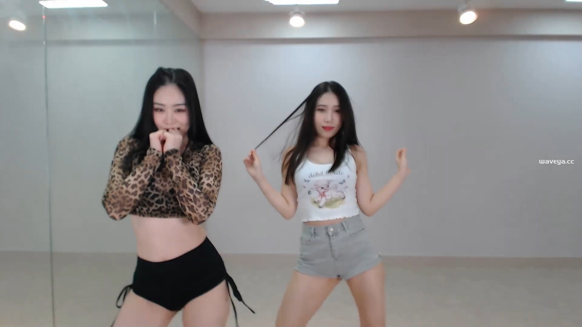 Waveya Livestream直播 – #0064插图1