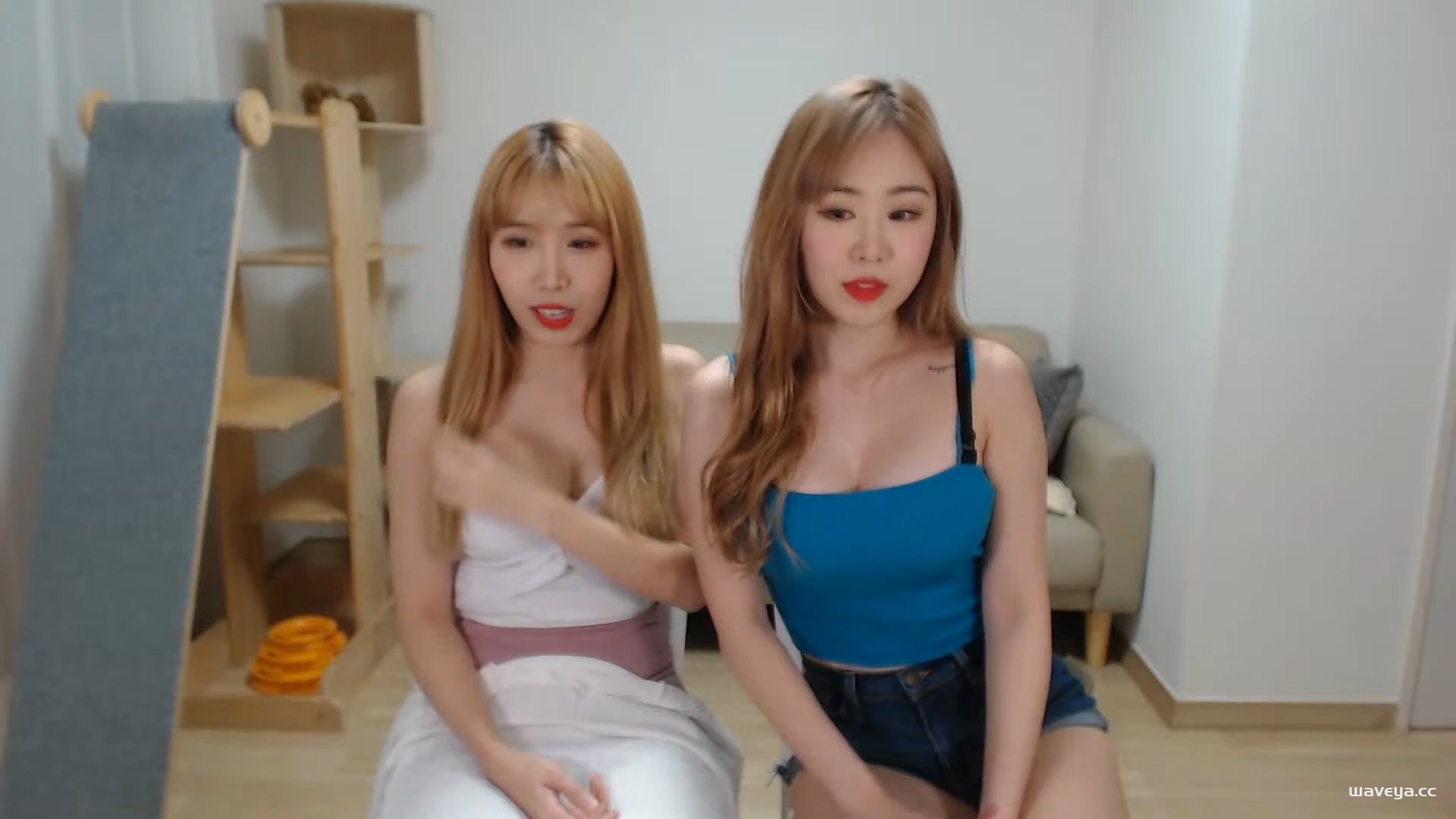 Waveya Livestream直播 – #0004插图