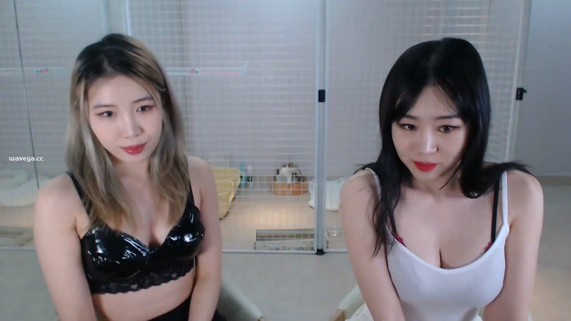 April 2nd Live 23/04/23 Waveya Livestream直播 – #0092插图