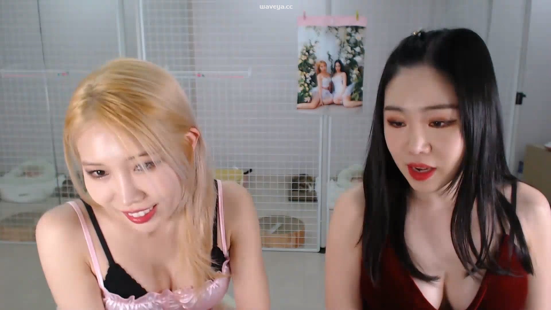 2023 ?May 1st Live 5월 첫 라이브 23/05/06 Waveya Livestream直播 – #0093插图