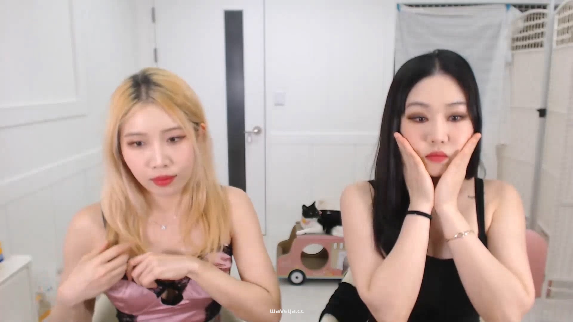 Happy Live Day ? June 1st Stream 23/06/10 Waveya Livestream直播 – #0095插图