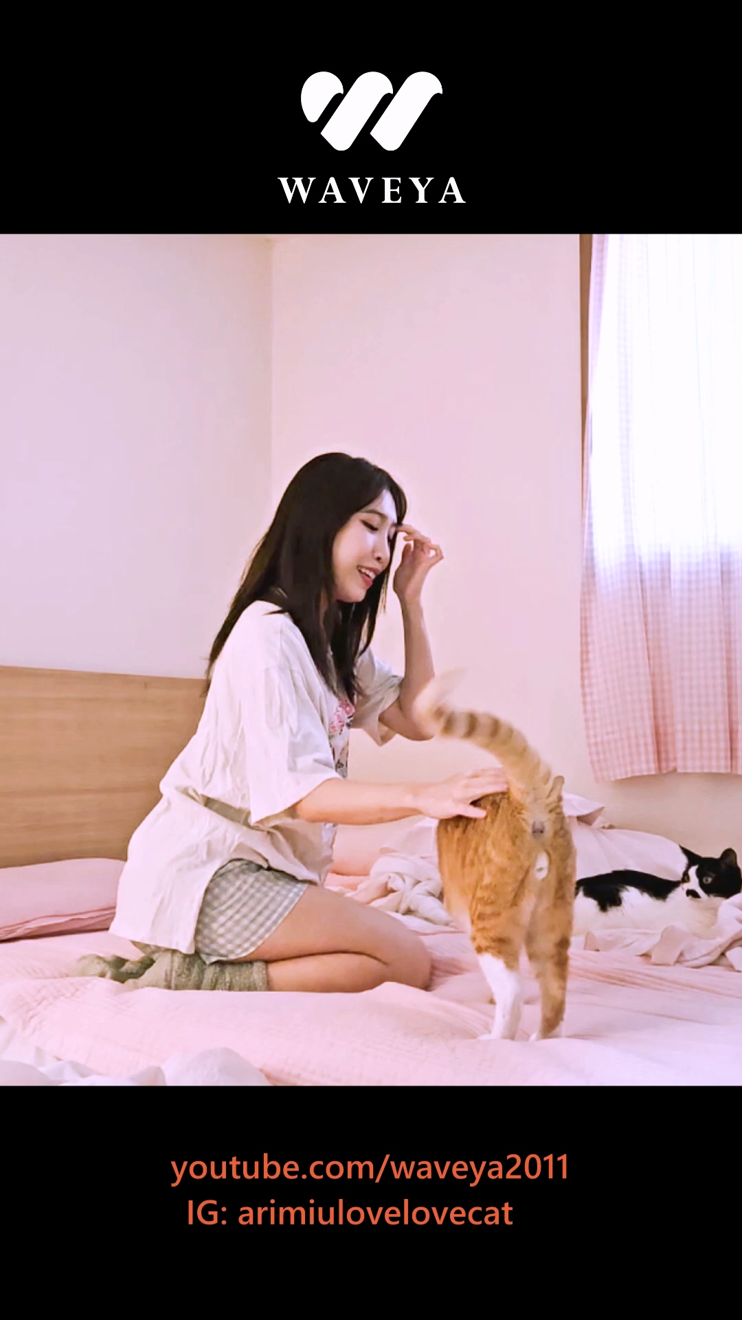 춤 좋아하는 고양이🩷 Jessi 제시 Gum with cats #Jassi #GumChallenge #cat Waveya miu – #00046插图