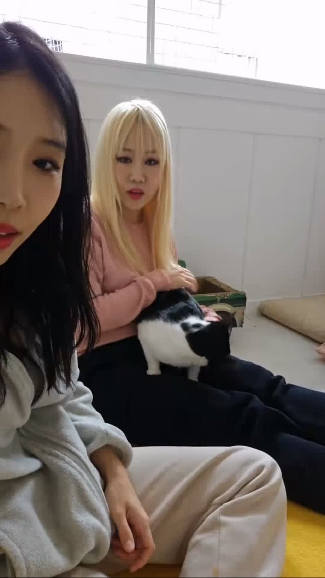 February Waveya 1st Live Feat. Kong&Doong 2024/02/04 Waveya Livestream直播 – #0111插图2